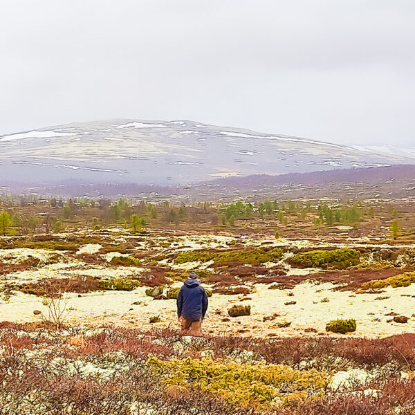 Bilde av en person som går tur i fjellet