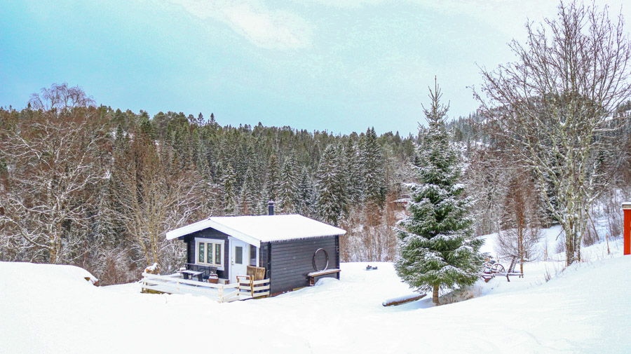 Photo of a house in the forest