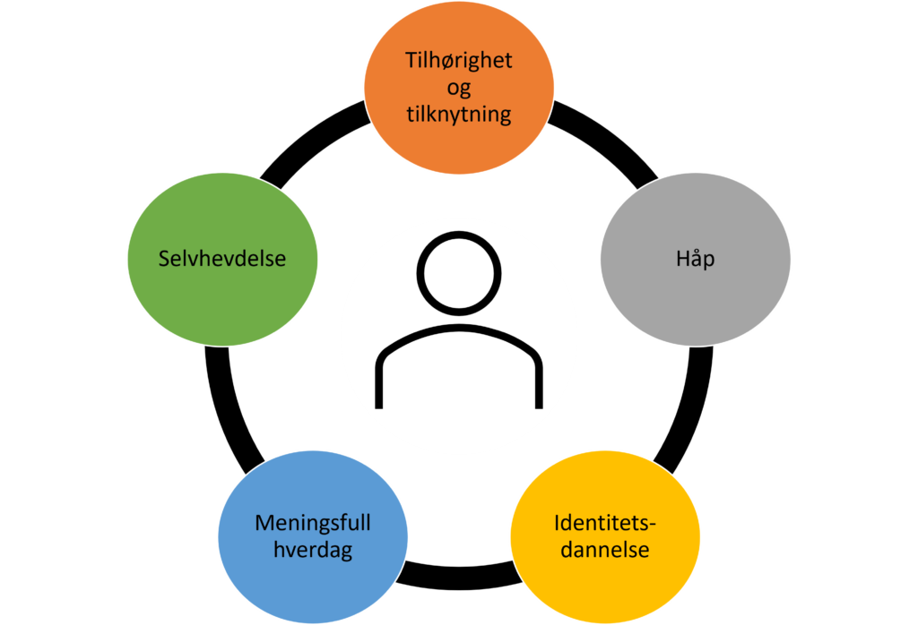 CHIMEprosjektet utvikling og fremdrift KBT