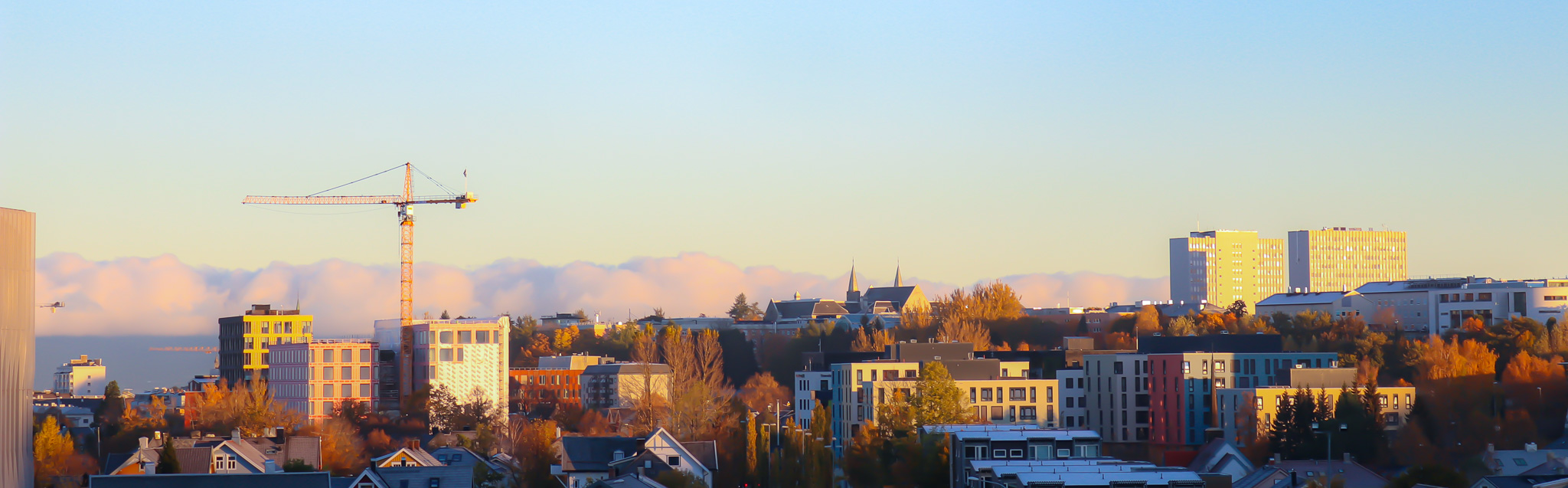 Utsikt over Trondheim (bilde)